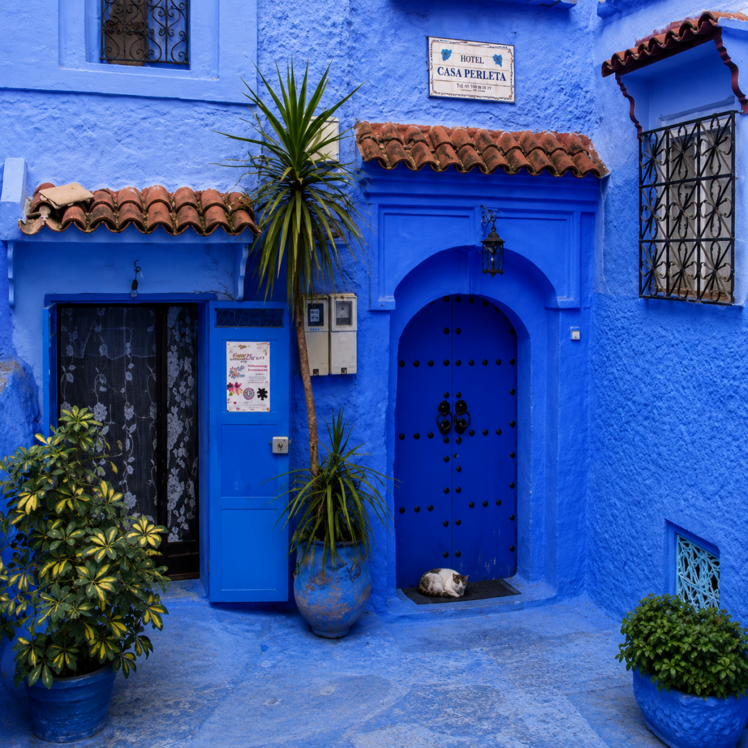 Lost in the Blue Streets of Chefchaouen – A Traveler’s Story & Tips